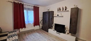 Proprietar închiriez apartament 1 camera, suprafata 23 mp, situat in Complexul Studentesc Mehadia - imagine 10