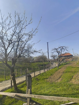 Casa de cărămidă + teren, sat Brătești comuna Albești la 25 de minute de Curtea de Argeș! - imagine 4