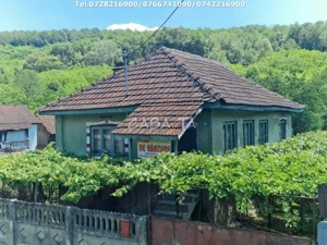 Casa situata în orasul Târgu-Carbunesti , Sat Ștefănești