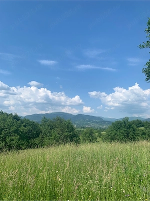 Teren pretabil pentru casa de vacanta in Maramures - imagine 3