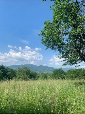 Teren pretabil pentru casa de vacanta in Maramures - imagine 7