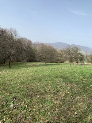 Teren pretabil pentru casa de vacanta in Maramures - imagine 6