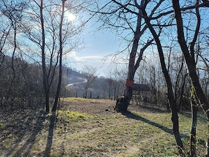 Teren cu vita de vie comuna Cristian judetul Sibiu