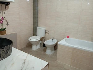 Casă P+M cu teren 744 mp în Dumbrava (Timiș)   Zonă excelentă, vizavi de facilitati