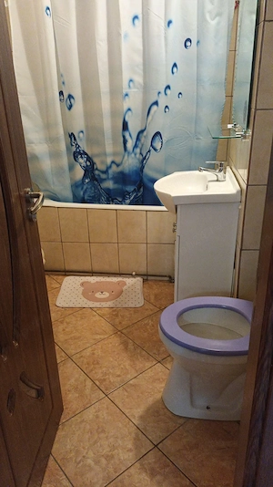 Agentie inchiriem  apartament 2 camere Rovine -Posta A-uri Centrala,AC - imagine 7