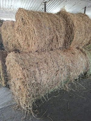 Vand baloti  lucerna 125 125,coasa 2Vand 