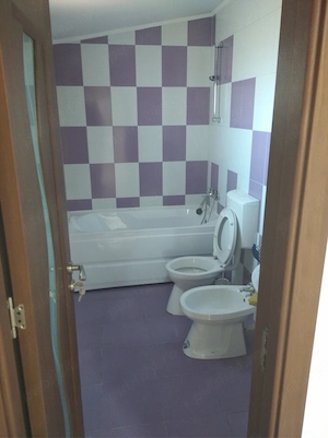 Spatiu de inchiriere comercial - imagine 5
