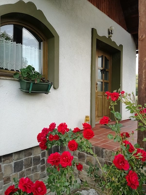 Casa vintage de vanzare - imagine 3