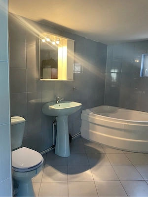 Casa cu teren 2500mp stradal dupa comuna  Berceni - imagine 4