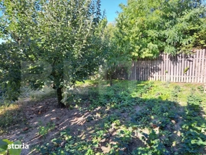 Casă cu gospodărie, livadă și grădină, 106 mp – Costeștii din Deal - imagine 16