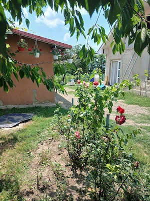 Casa la tara in com scheia ju iasi - imagine 4