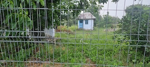 Vand 3600 mp, teren intrav. situat in sat Gruiu, Cateasca, Arges, cu casa veche, la 90 km Bucuresti - imagine 4