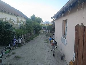 vand casă Cenad 3camere baie bucătărie  - imagine 3