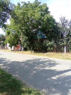 Vând casă și teren la 22km ,de. Oradea  - imagine 4
