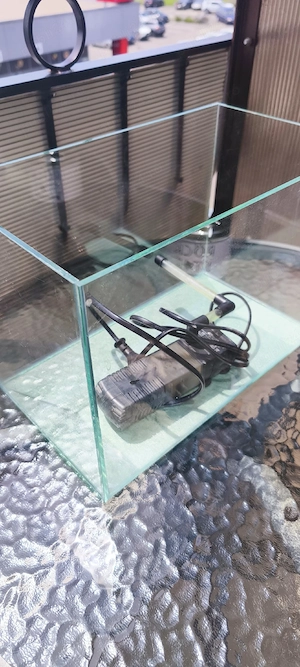 acvariu pești reptile amfibieni 10 l