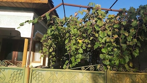 Casă bătrânească comuna Runcu 