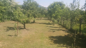 Casă bătrânească comuna Runcu  - imagine 4