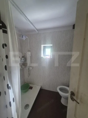 Cabana cu parau si brazi maturi, 1400mp, Valea Fericirii - imagine 19