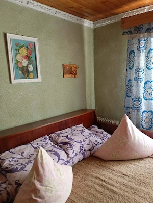 Vila cu etaj de vanzare in sat Ciuturesti, comuna Secuieni, Judetul Bacau - imagine 3