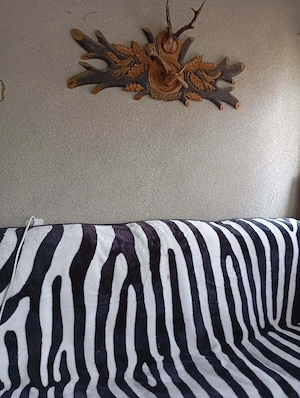 Vila cu etaj de vanzare in sat Ciuturesti, comuna Secuieni, Judetul Bacau - imagine 9