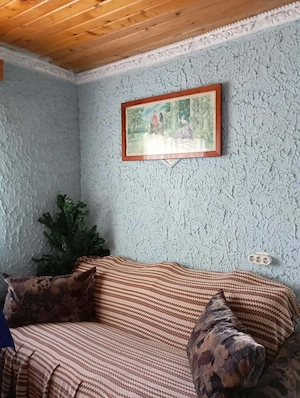 Vila cu etaj de vanzare in sat Ciuturesti, comuna Secuieni, Judetul Bacau - imagine 7