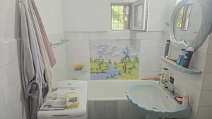 Vand  apartament de 3 camere decomandat in Deva, parter,  str. Bejan, bloc de 4 etaje, 65 mp - imagine 8