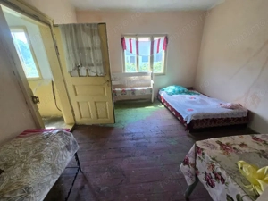 Proprietate în comuna Vedea, teren = 4200 mp - imagine 6