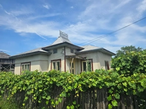 Proprietate în comuna Vedea, teren = 4200 mp - imagine 2