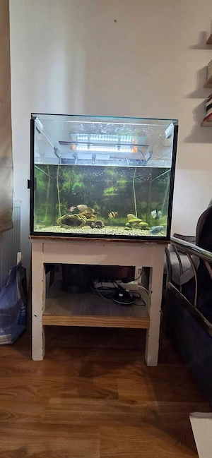 Acvariu 180L complet echipat  - imagine 3