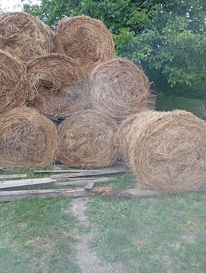 baloți de lucernă 