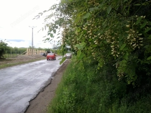 Teren lângă pădure Băicoi | 480 mp | D-32 ml | Zonă vile noi - imagine 13
