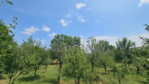 Teren lângă pădure Băicoi | 480 mp | D-32 ml | Zonă vile noi - imagine 3
