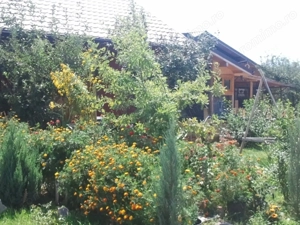Teren lângă pădure Băicoi | 480 mp | D-32 ml | Zonă vile noi - imagine 11