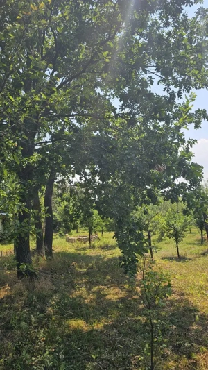 Teren lângă pădure Băicoi | 480 mp | D-32 ml | Zonă vile noi - imagine 19