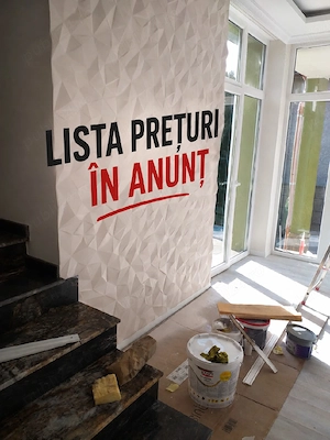 Execut lucrari