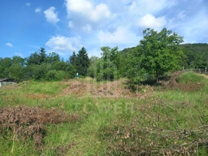 Teren în Fântânele – 3.673 mp, pârâu si cadru natural  deosebit - imagine 5