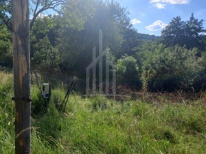 Teren în Fântânele – 3.673 mp, pârâu si cadru natural  deosebit - imagine 8