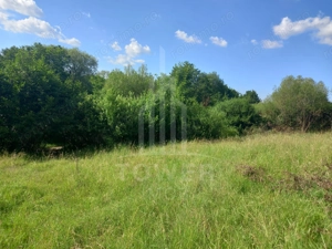 Teren în Fântânele – 3.673 mp, pârâu si cadru natural  deosebit - imagine 7