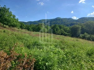 Teren în Fântânele – 3.673 mp, pârâu si cadru natural  deosebit - imagine 10