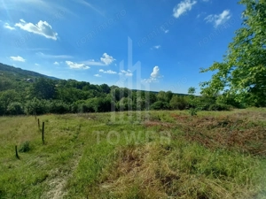 Teren în Fântânele – 3.673 mp, pârâu si cadru natural  deosebit - imagine 14