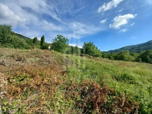 Teren în Fântânele – 3.673 mp, pârâu si cadru natural  deosebit - imagine 12