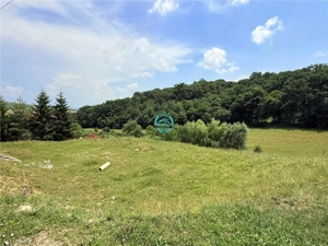 Vand teren 2500 mp in Unirii zona Laboratorului Denisa - imagine 3