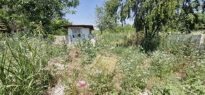 Casa 6 camere Darasti Ilfov - imagine 5