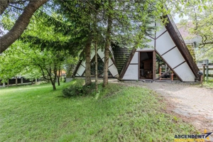 Vila 7 camere,250 mp,semineu,terase,800 mp teren,rezidential  turistic,Predelut,Brasov - imagine 11