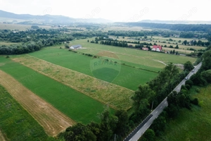 Teren 10,000mp Nemtisor / DJ 155C - imagine 5
