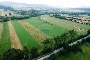 Teren 10,000mp Nemtisor / DJ 155C - imagine 7