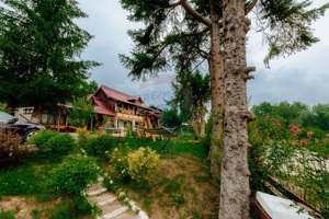 Pensiune de vânzare, Corbșori (Poenari)| potențial real de Business - imagine 14