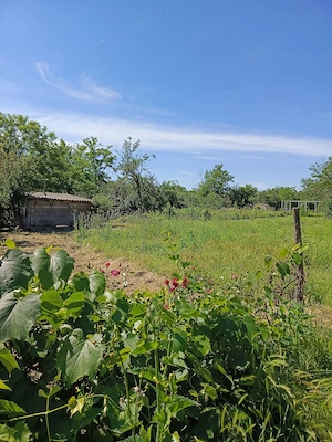 Casa de vanzare in Rasimnicea - imagine 5