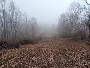 Teren intravilan 3.186 mp   Sat Vărmaga, Certeju de Sus, Hunedoara   luminiș la poalele muntelui - imagine 4