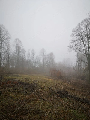 Teren intravilan 3.186 mp   Sat Vărmaga, Certeju de Sus, Hunedoara   luminiș la poalele muntelui - imagine 5